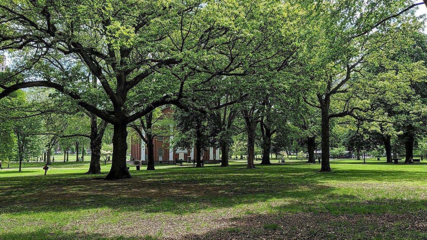 The New Haven Green and Center Church on a summer day